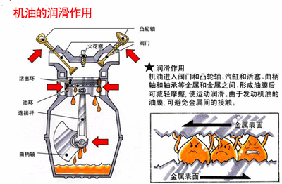 请添加缩略图